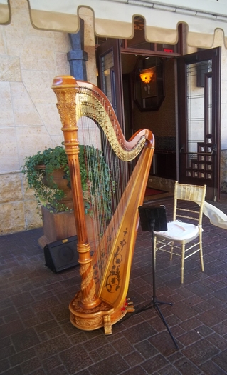 Wedding Harpist in Detroit Suburbs