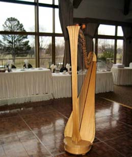 Chicago Harpist for Wedding Receptions