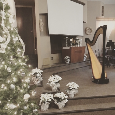 Bloomington Harpist on Christmas Eve