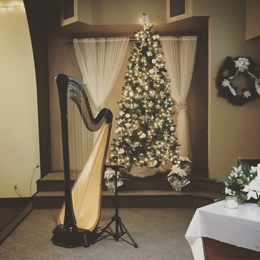 Christmas Eve Harpist in Bloomington-Normal
