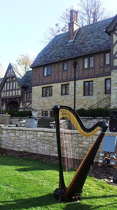 Bloomington Illinois Wedding Harpist