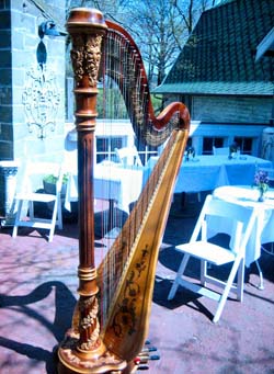Blue Dress Barn Wedding Ceremony Harpist