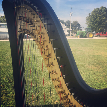 Calhoun County IL Wedding Music Harp
