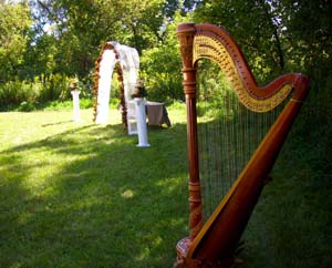 Grand Rapids Michigan Harpist