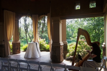 Canton Ohio Wedding Harpist - Ceremony at Gervasi Vineyard