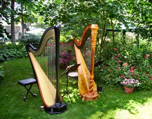 Cassopolis Michigan Wedding Harp Music