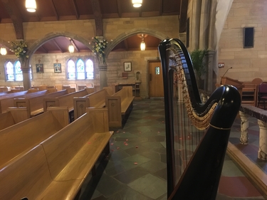 Northern Illinois Catholic Wedding Harpist