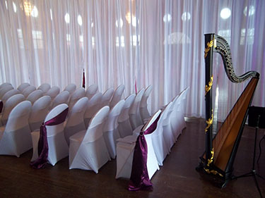 Wedding and Event Harpist