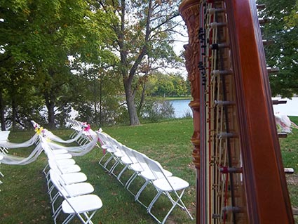 Central Illinois Harp Player for Weddings