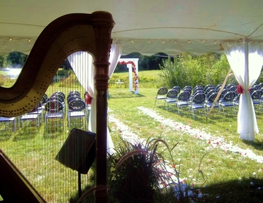 Central Indiana Wedding Ceremony Harpist