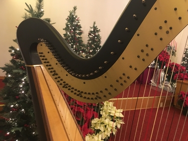 Harp Player in Columbus and Central Ohio