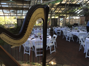 Wedding Reception Harp Music at Silvercreek Greenhouse in Urbana