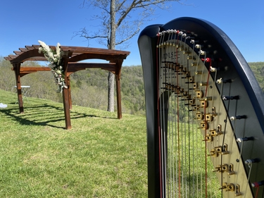 Charleston West Virginia Wedding Harpist