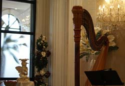 Chicago Wedding Music Harp and Violin