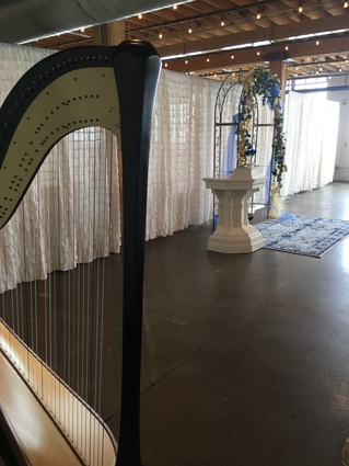 Wedding Harpist in grand rapids