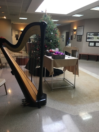 Funeral Musician in Chicago - Harpist