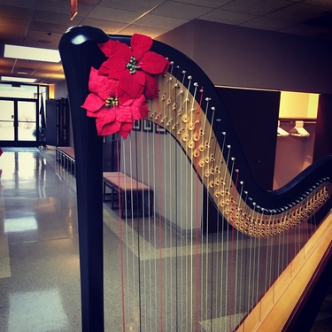 Chicago Funeral Musician Harpist