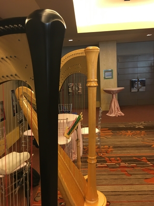 Chicago Harp Musicians - Harp Duet for a Wedding