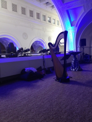 Chicago Harpist for Events at the Field Museum