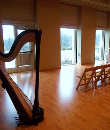 Morton Arboretum Wedding Musician Harp Chicago