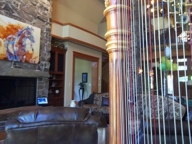 Chicago Harpist for Parties