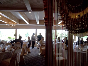 Chicago Wedding Harpist - Orland Park Reception