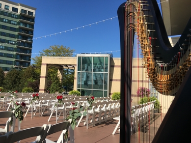 Chicago Wedding Harpist