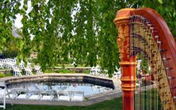 Chicago Harpist Botanic Gardens Wedding Ceremony