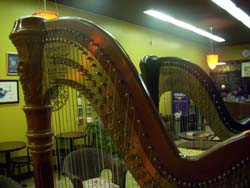 South Bend Harpist