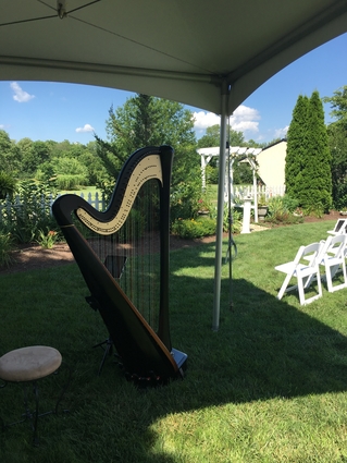 Harpist in Chillicothe, Ohio