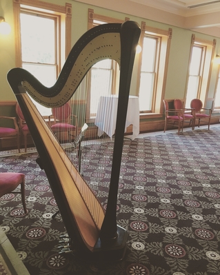 Traverse City Wedding Reception Harpist