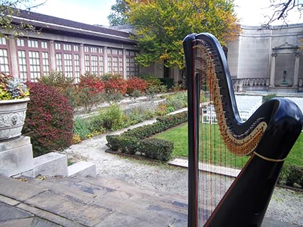 Cleveland Ohio Harpist