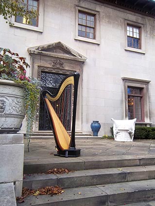 Cleveland Wedding Harpist