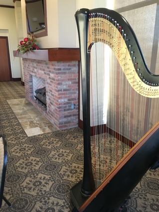 Harpist in Columbia Missouri