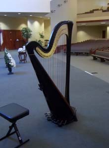 Muskegon Michigan Wedding Harpist