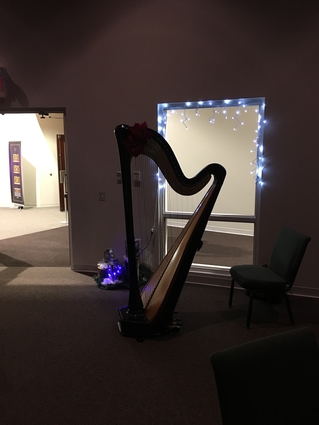 Quad Cities Harpist for Christmas Open House