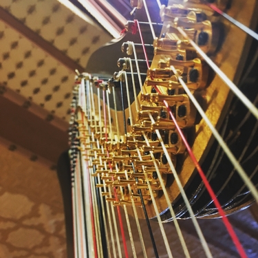 Iowa Harpist in Decorah