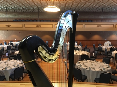 Harp Player Northeast Iowa
