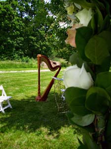 Bloomington Indiana Harpist