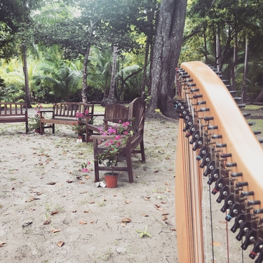 Destination Wedding Central America - Panama Harpist