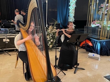 Detroit Harp Flute Wedding Arabic Music