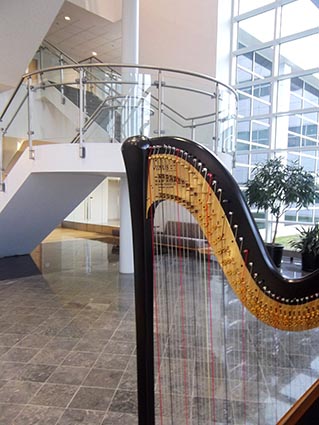 Detroit Harpist for Parties