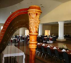 Northwest Indiana Wedding Reception Music Harp