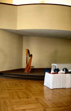 Harp Music for a Wedding Reception
