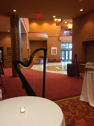 Wedding Reception Music - East Peoria Illinois Harp and Violin