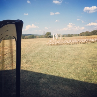 Farmington Missouri Harpist for Weddings