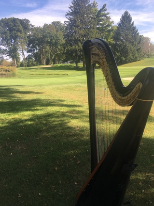 Harp and violin in northeast indiana