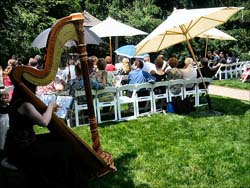 Foster Park Fort Wayne Wedding Music Harpist