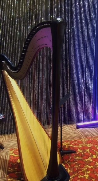 Harpist for Casino Entertainment