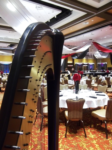 Southwest Michigan Event Harpist